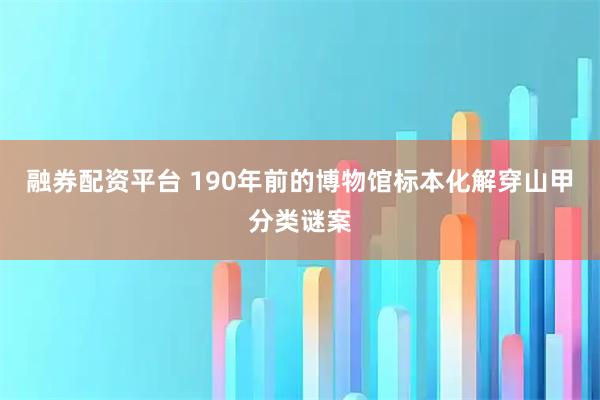 融券配资平台 190年前的博物馆标本化解穿山甲分类谜案